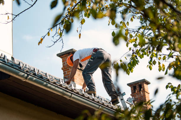 Best Local Roofing Companies  in Rensselaer, IN