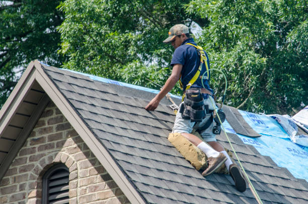 Best Roof Maintenance Services  in Rensselaer, IN